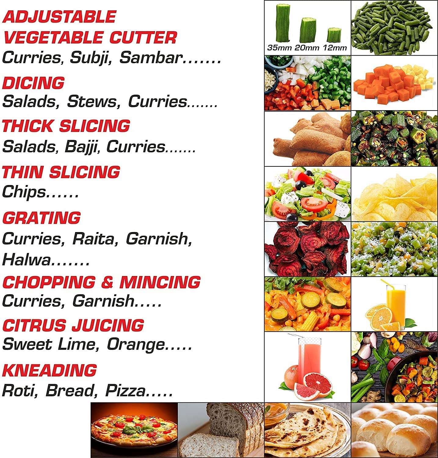 Vidiem Tusker Mixer Grinder 750W with UL Certified motor - 110 V with 6 Jars